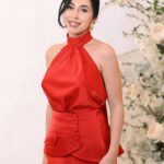 Reverie- Red Dress