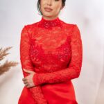 Scarlet Lace Dress